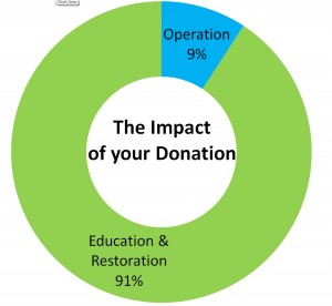 Donation Impact